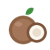 Coconut
